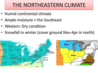THE NORTHEASTERN CLIMATE 
•Humid continental climate 
•Ample moisture < the Southeast 
•Western: Dry condition 
•Snowfall in winter (cover ground Nov-Apr in north)  