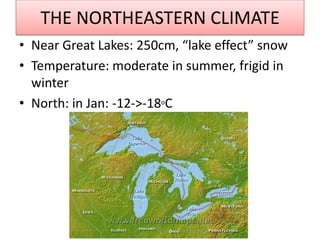 THE NORTHEASTERN CLIMATE 
•Near Great Lakes: 250cm, “lake effect” snow 
•Temperature: moderate in summer, frigid in winter 
•North: in Jan: -12->-18oC  