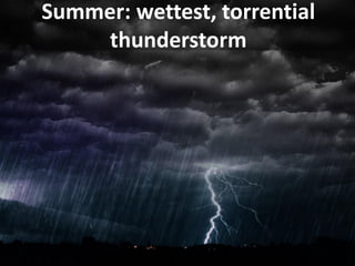 Summer: wettest, torrential thunderstorm  