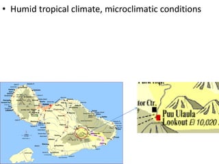 •Humid tropical climate, microclimatic conditions  