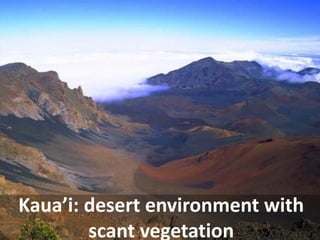 Kaua’i: desert environment with scant vegetation  