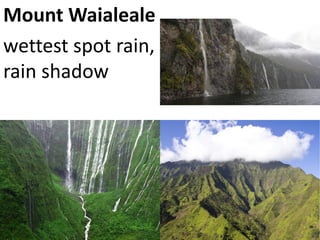 Mount Waialeale 
wettest spot rain, rain shadow  