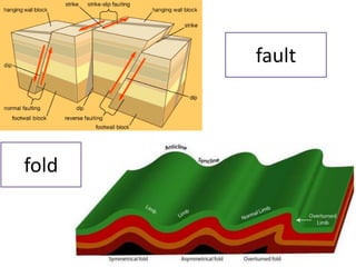 fault 
fold  
