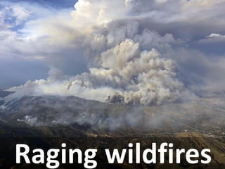 Raging wildfires  