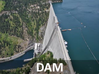 DAM  