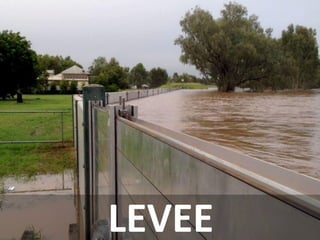 LEVEE  
