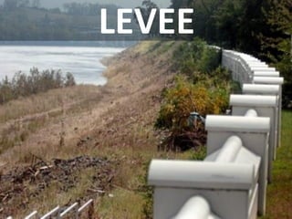 LEVEE  