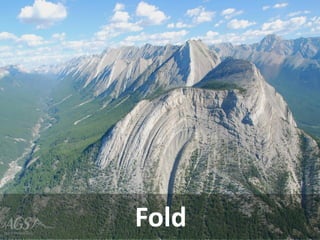 Fold  