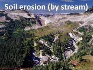 Soil erosion (by stream)  