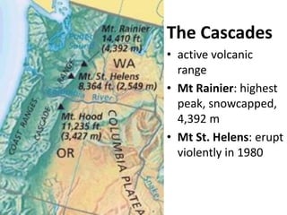 The Cascades 
•active volcanic range 
•Mt Rainier: highest peak, snowcapped, 4,392 m 
•Mt St. Helens: erupt violently in 1980  