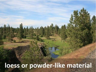 loess or powder-like material  