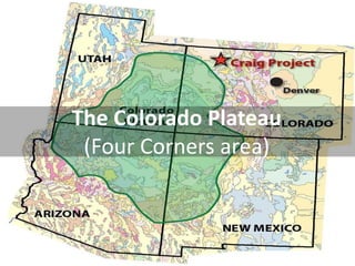 The Colorado Plateau (Four Corners area)  