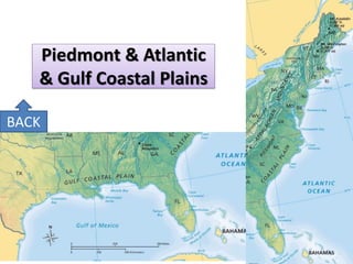 Piedmont & Atlantic & Gulf Coastal Plains 
BACK  