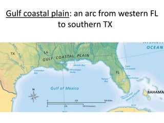 Gulf coastal plain: an arc from western FL to southern TX  