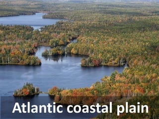 Atlantic coastal plain  