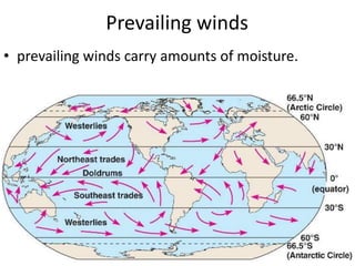 Prevailing winds 
•prevailing winds carry amounts of moisture.  