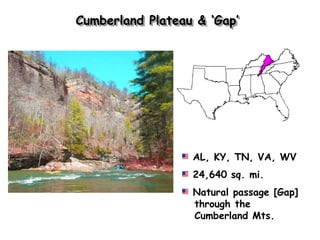 Cumberland Plateau & „Gap‟




                  AL, KY, TN, VA, WV
                  24,640 sq. mi.
                  Natural passage [Gap]
                  through the
                  Cumberland Mts.
 