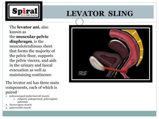LEVATOR SLING
The levator ani, also
known as
the muscular pelvic
diaphragm, is the
musculotendinous sheet
that forms the majority of
the pelvic floor, supports
the pelvic viscera, and aids
in the urinary and faecal
evacuation as well as
maintaining continence.
The levator ani has three main
components, each of which is
paired :
1. pubococcygeal (pubovisceral) muscle
1. subparts: puboperineal, pubovaginal,
puboanal
2. iliococcygeus muscle
3. puborectalis muscle
 