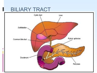 BILIARY TRACT
 