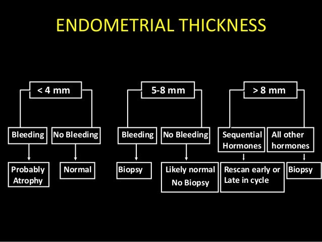 Postmenopausal Endometrial Thickness Vrogue co postmenopausal-endometrial-thickness-vrogue-co