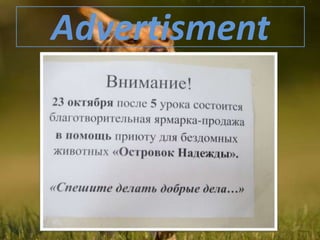 Advertisment
 