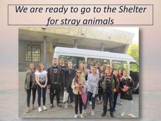 We are ready to go to the Shelter
for stray animals
 