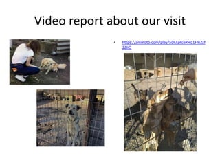 Video report about our visit
• https://animoto.com/play/5DEkpfceRHo1FmZxf
2ZIiQ
 