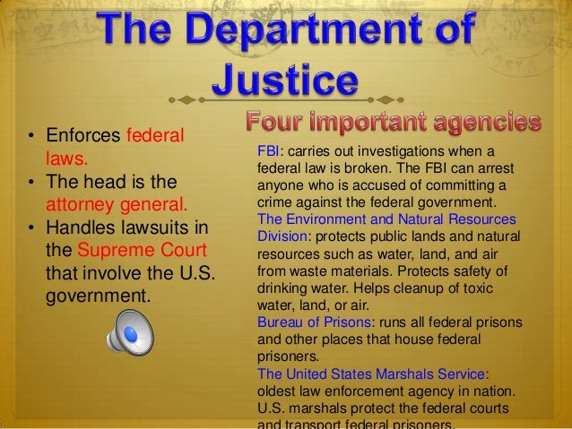 The President S Cabinet Us Government Chpt 6