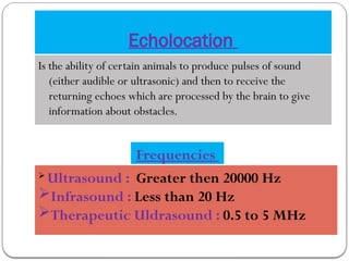Echolocation
Is the ability of certain animals to produce pulses of sound
(either audible or ultrasonic) and then to receive the
returning echoes which are processed by the brain to give
information about obstacles.
Frequencies
 Ultrasound : Greater then 20000 Hz
Infrasound : Less than 20 Hz
Therapeutic Uldrasound : 0.5 to 5 MHz
 