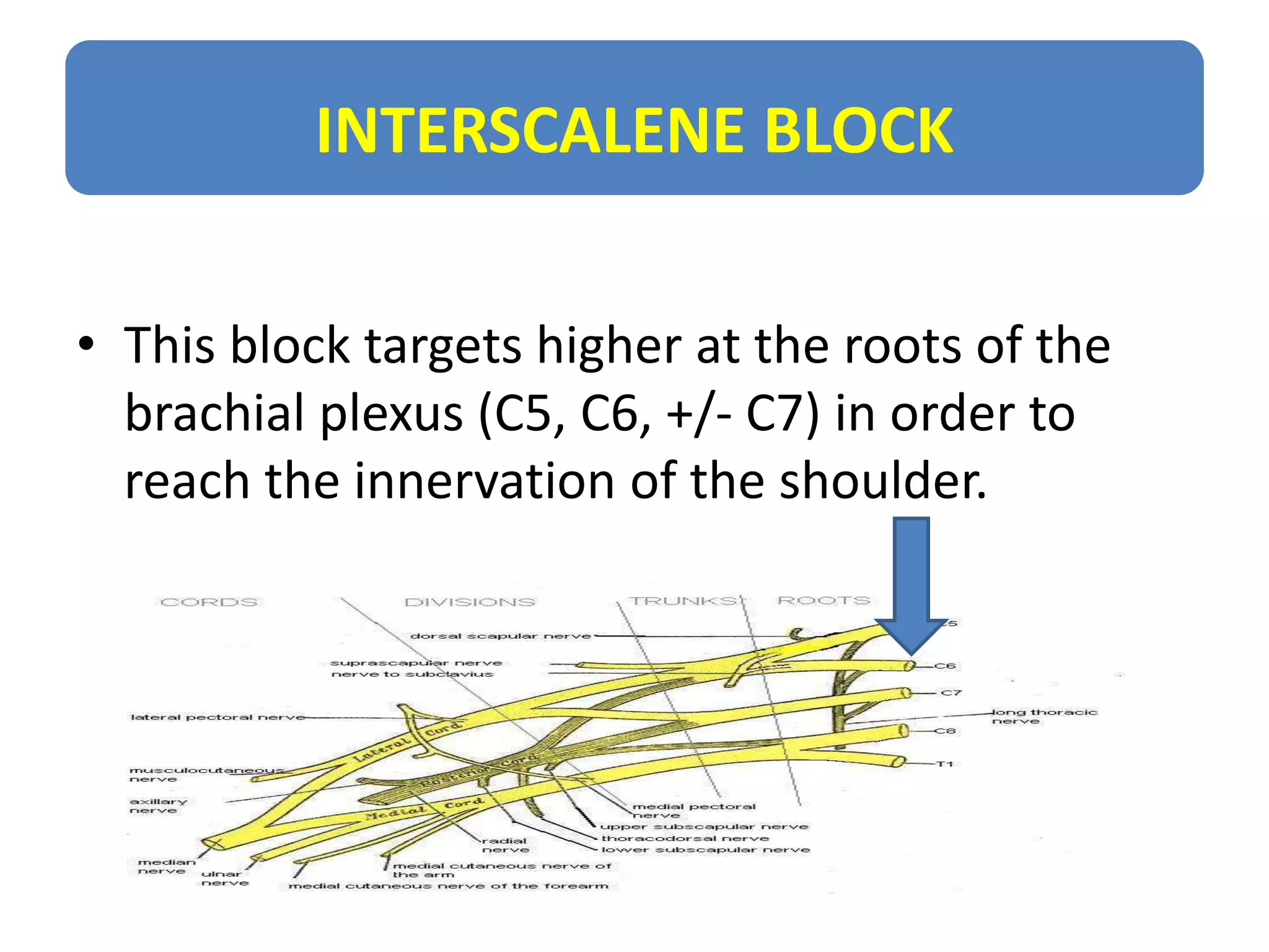 Usg r nerve block | PPTX