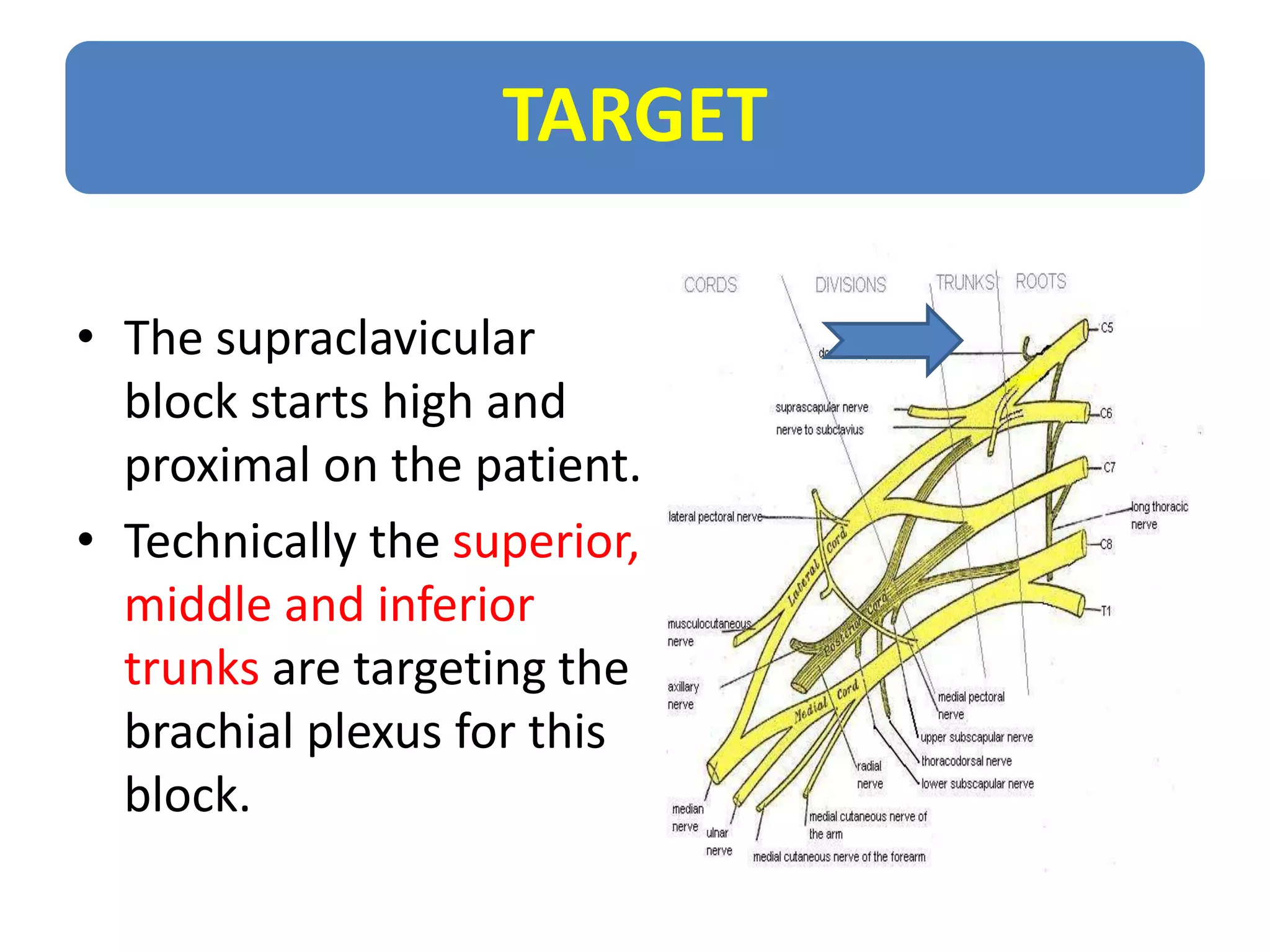 Usg r nerve block | PPTX