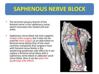 SAPHENOUS NERVE BLOCK
• The terminal sensory branch of the
femoral nerve is the saphenous nerve,
which innervates the medi...