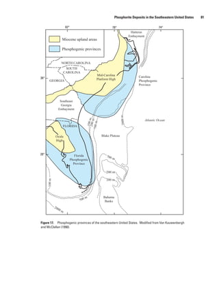 Phosphorite Deposits in the Southeastern United States   81

                          82°                                  78°                                  74°
                                                                                Hatteras
                                                                               Embayment
                     Miocene upland areas

                     Phosphogenic provinces


                     NORTH CAROLINA
                          SOUTH
                         CAROLINA
                                                  Mid-Carolina                      Carolina
36°                                               Platform High
        GEORGIA                                                                     Phosphogenic
                                                                                    Province



                    Southeast
                     Georgia
                   Embayment



                                                                      2000 m
                                                                                           Atlantic Ocean
                                              100 m
                                              200 m
                                            700 m




                         FLORIDA


              Ocala                                   Blake Plateau
              High



28°                                Florida               700
                                Phosphogenic                   m
                                  Province

                                                         200 m

                                                         200 m
      100 m




                                            m          Bahama
                                      700               Banks
              20
                00
                     m


Figure 17. Phosphogenic provinces of the southeastern United States. Modified from Van Kauwenbergh
and McClellan (1990).
 