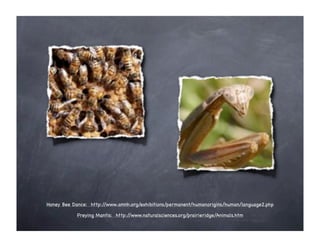 USGS Web 2.0 Talk, June 2008