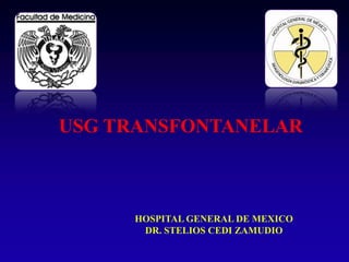 USG TRANSFONTANELAR

HOSPITAL GENERAL DE MEXICO
DR. STELIOS CEDI ZAMUDIO

 