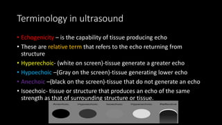 USG THORAX [Autosaved].pptx