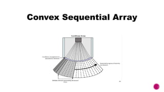 Introduction to Ultrasound Transducers and Knobology | PPTX