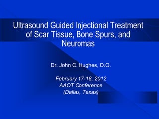 Ultrasound Guided Injectional Treatment
of Scar Tissue, Bone Spurs, and
Neuromas
Dr. John C. Hughes, D.O.
February 17-18, 2012
AAOT Conference
(Dallas, Texas)
 
