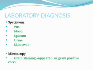 LABORATORY DIAGNOSIS
 Specimens:
 Pus
 blood
 Sputum
 Urine
 Skin swab
 Microscopy
 Gram staining –appeared as gram positive
cocci.
 
