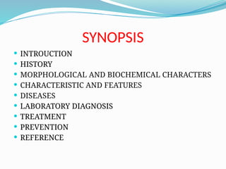 SYNOPSIS
 INTROUCTION
 HISTORY
 MORPHOLOGICAL AND BIOCHEMICAL CHARACTERS
 CHARACTERISTIC AND FEATURES
 DISEASES
 LABORATORY DIAGNOSIS
 TREATMENT
 PREVENTION
 REFERENCE
 