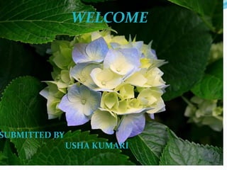 WELCOME
SUBMITTED BY
USHA KUMARI
 