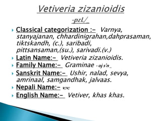  Classical categorization :- Varnya, 
stanyajanan, chhardinigrahan,dahprasaman, 
tiktskandh, (c.), saribadi, 
pittsansaman,(su.), sarivadi.(v.) 
 Latin Name:- Vetiveria zizanioidis. 
 Family Name:- Graminae - oj s'n _ 
 Sanskrit Name:- Ushir, nalad, sevya, 
amrinaal, samgandhak, jalvaas. 
 Nepali Name:- v;v; 
 English Name:- Vetiver, khas khas. 
 