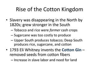 Rise of the Cotton KingdomSlavery was disappearing in the North by 1820s; grew stronger in the SouthTobacco and rice were former cash cropsSugarcane was too costly to produceUpper South produces tobacco; Deep South produces rice, sugarcane, and cotton1793 Eli Whitney invents the Cotton Gin – removed seeds from cotton fibersIncrease in slave labor and need for land