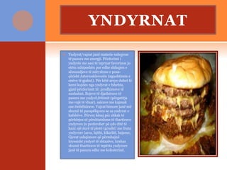 YNDYRNAT
 Yndyrat/vajrat janë materie ushqyese
të pasura me energji. Përdorimi i
yndyrës me sasi të tepruar favorizon jo
etëm mbipeshën por edhe shfaqjen e
sëmundjeve të ndryshme e posa-
çërisht Arteriosklerozën (ngushtimin e
enëve të gjakut). Për këtë arsye duhet të
kemi kujdes nga yndyrat e fshehta,
gjatë përdorimit të: prodhimeve të
suxhukut, llojeve të djathërave të
pasura me yndyrë,fritimit (përgatitja
me vajë të vluar), salcave me kajmak
ose ëmbëlsirave. Vajrat bimore janë më
shumë të parapëlqyera se sa yndyrat e
kafshëve. Përveç kësaj për shkak të
përbërjes së përshtatshme të thartirave
yndyrore ju preferohet pë çdo ditë të
hani një dorë të plotë (grusht) me fruta
yndyrore (arra, lajthi, kikirikë, bajame,
Gjerat ushqimore që përmbajnë
kryesisht yndyrë të shtazëve, krahas
shumë thartirave të tepërta yndyrore
janë të pasura edhe me kolesterinë.
 