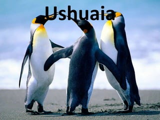 Ushuaia
 