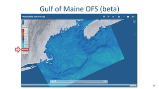 Gulf of Maine OFS (beta)
44
 