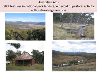 Australian Alps
relict features in national park landscape devoid of pastoral activity,
with natural regeneration
 
