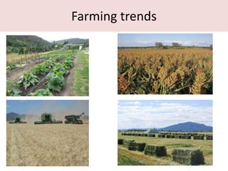 Farming trends
 