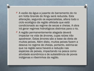 O A vazão da água a jusante do barramento do rio
em Volta Grande do Xingu será reduzida. Esta
alteração, segundo os especialistas, altera todo o
ciclo ecológico da região afetada que está
condicionado ao regime de secas e cheias. A obra
irá gerar regimes hidrológicos distintos para o rio.
O A região permanentemente alagada deverá
impactar na vida de árvores, cujas raízes irão
apodrecer. Estas árvores são a base da dieta de
muitos peixes. Além disto, muitos peixes fazem a
desova no regime de cheias, portanto, estima-se
que na região seca haverá a redução nas
espécies de peixes, impactando na pesca como
atividade econômica e de subsistência de povos
indígenas e ribeirinhos da região.
 