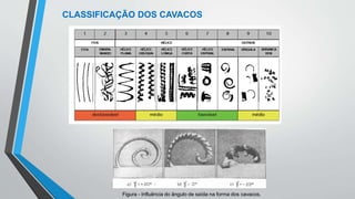 CLASSIFICAÇÃO DOS CAVACOS
Figura - Influência do ângulo de saída na forma dos cavacos.
 